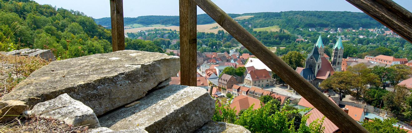 Freyburger Schlifterweinberg bei Sonnenschein